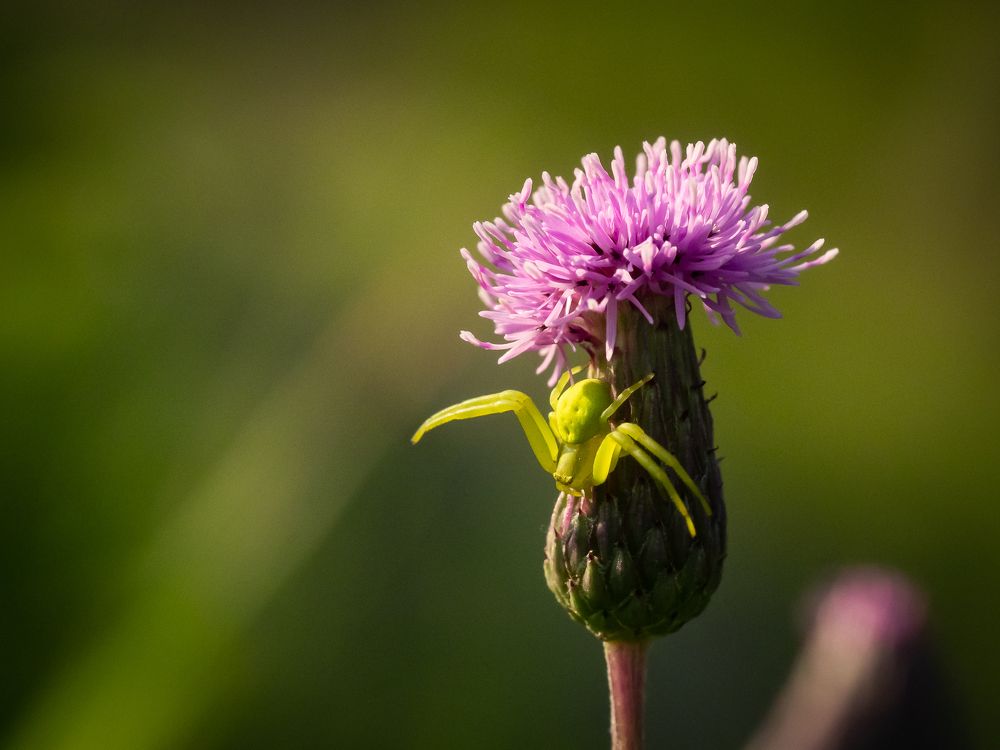 Photograph by Sergey