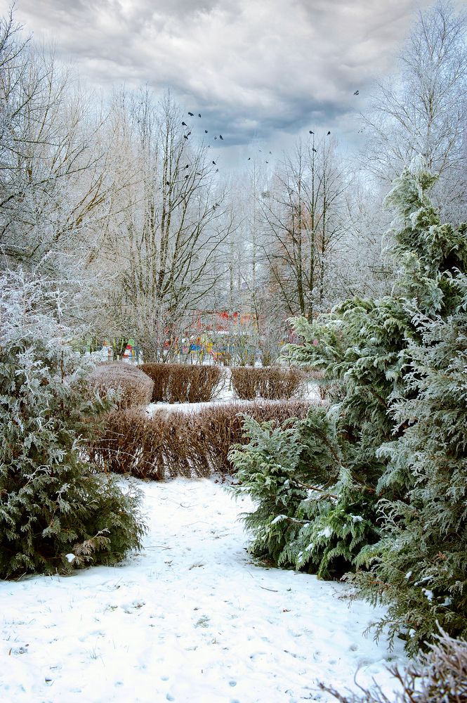 Photograph by Игорь Суглоб