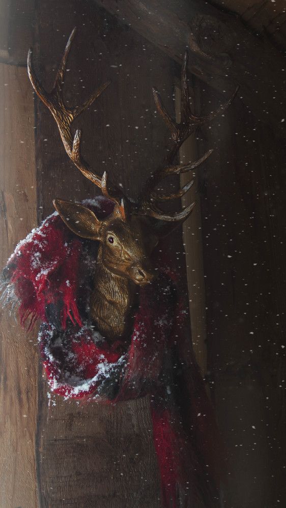 В ожидании Герды