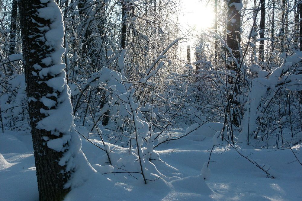 Photograph by Александр Кизим