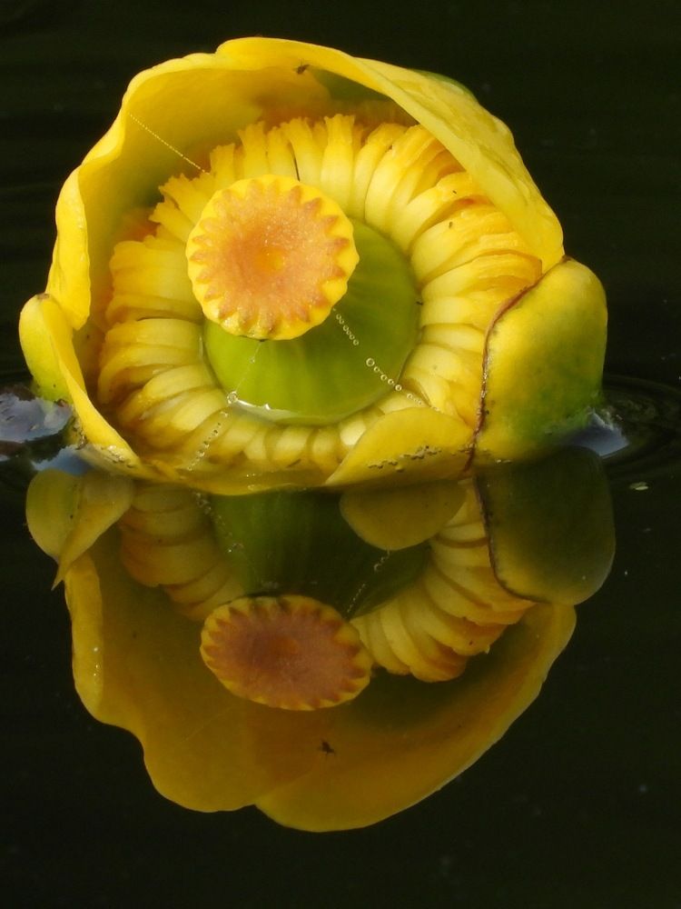 Фотография автора Bastini Gabriele