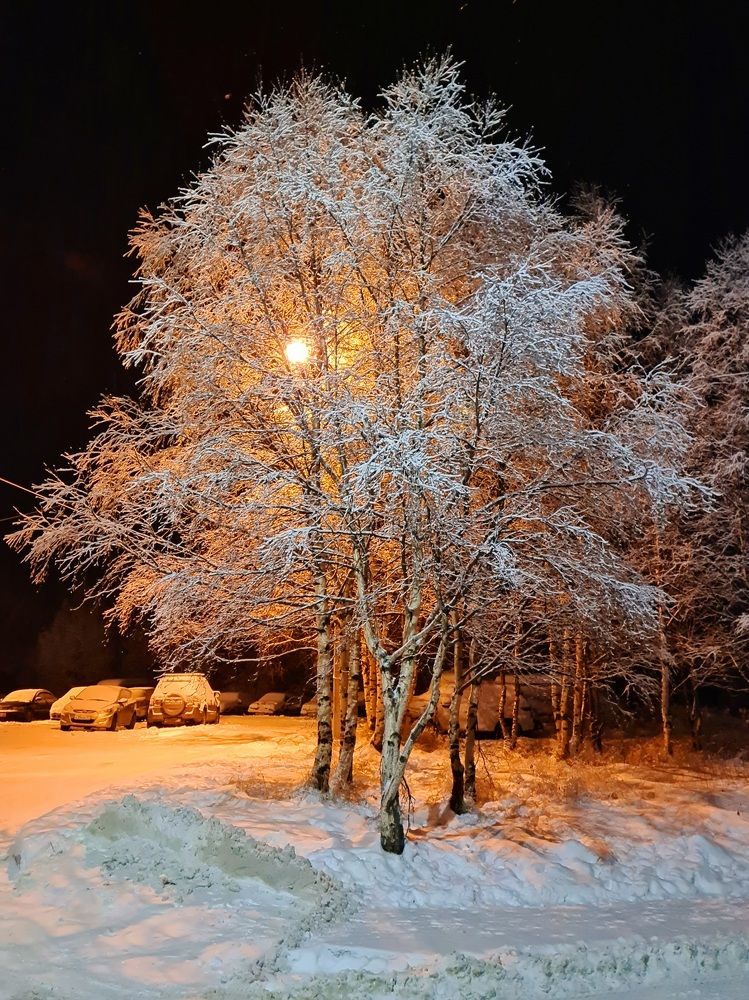 Photograph by Вячеслав Чудновец