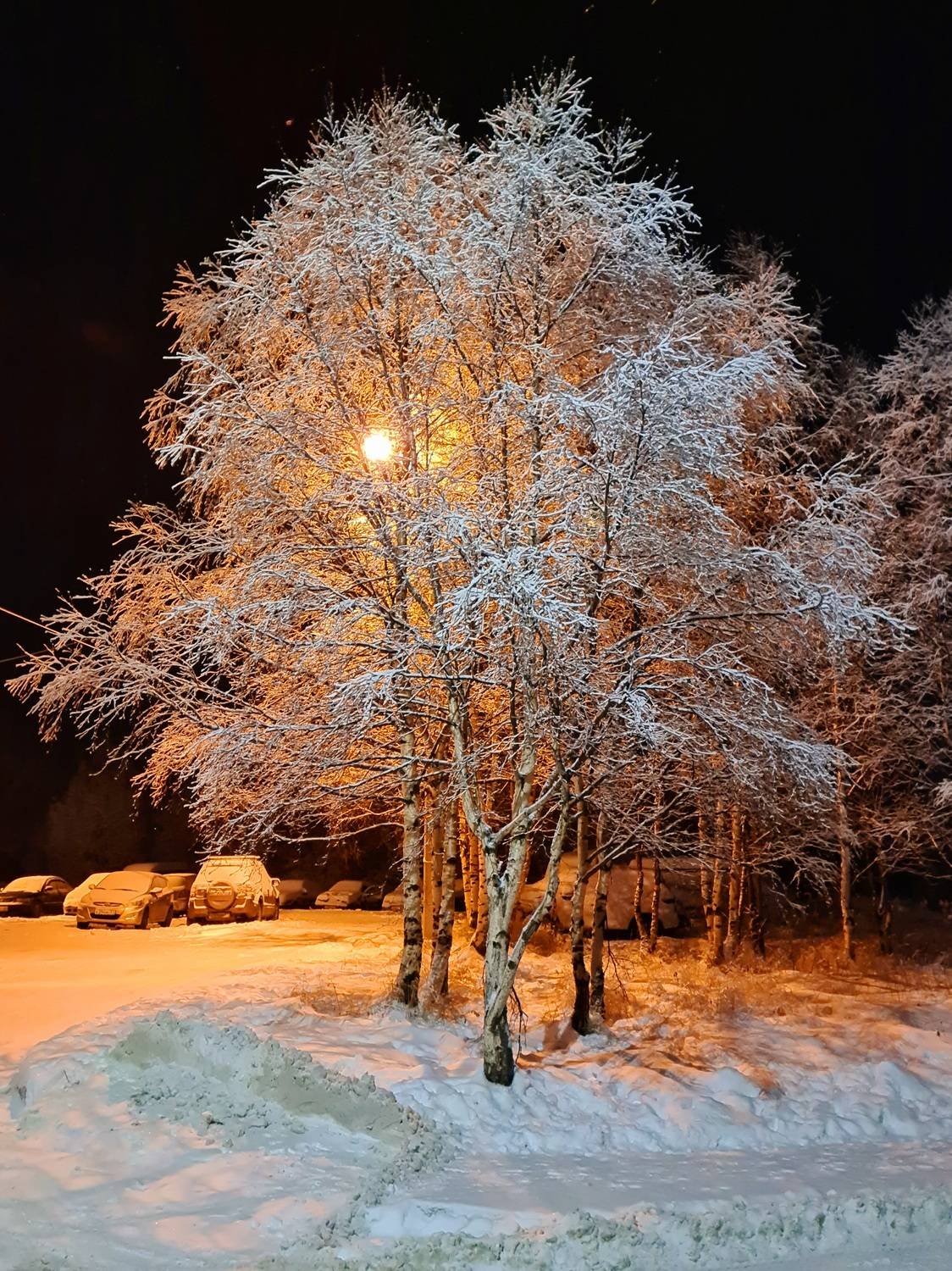 Photo #6979093