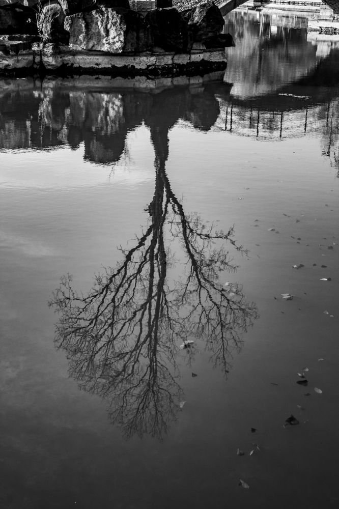 Photograph by Марина Нуриджанян