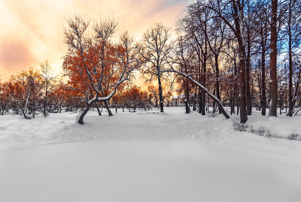 Photograph by Виктор Степанов