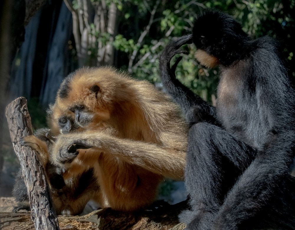 Photograph by Kristiina Stahlberg