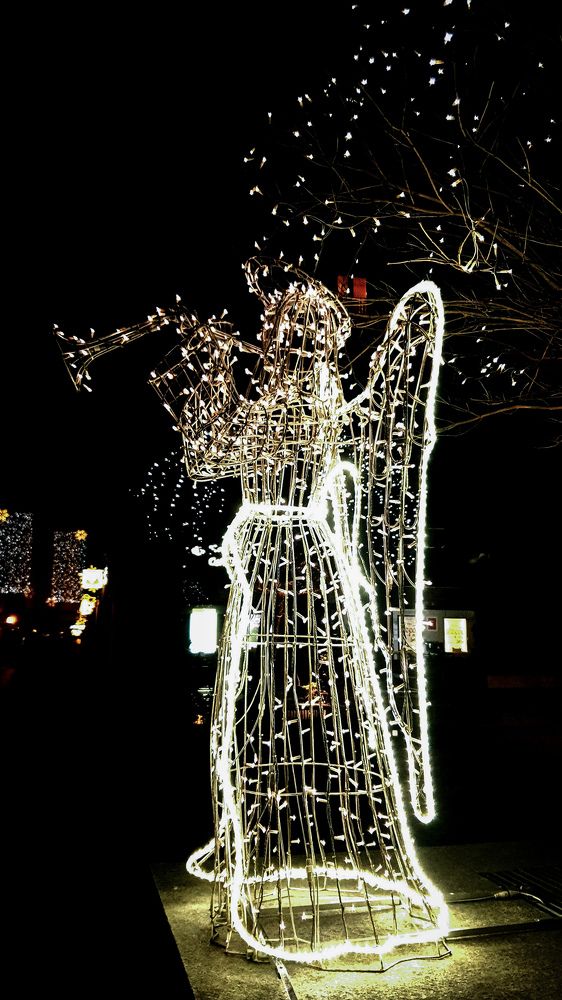 Photograph by Karolina Kamocka