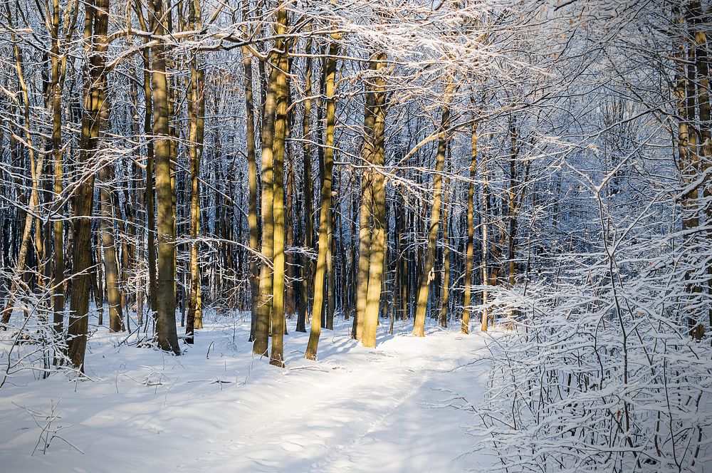 Photograph by Юрій Стороженко