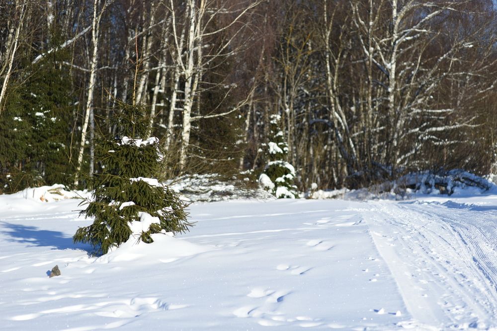 Photograph by Марина Шевцова