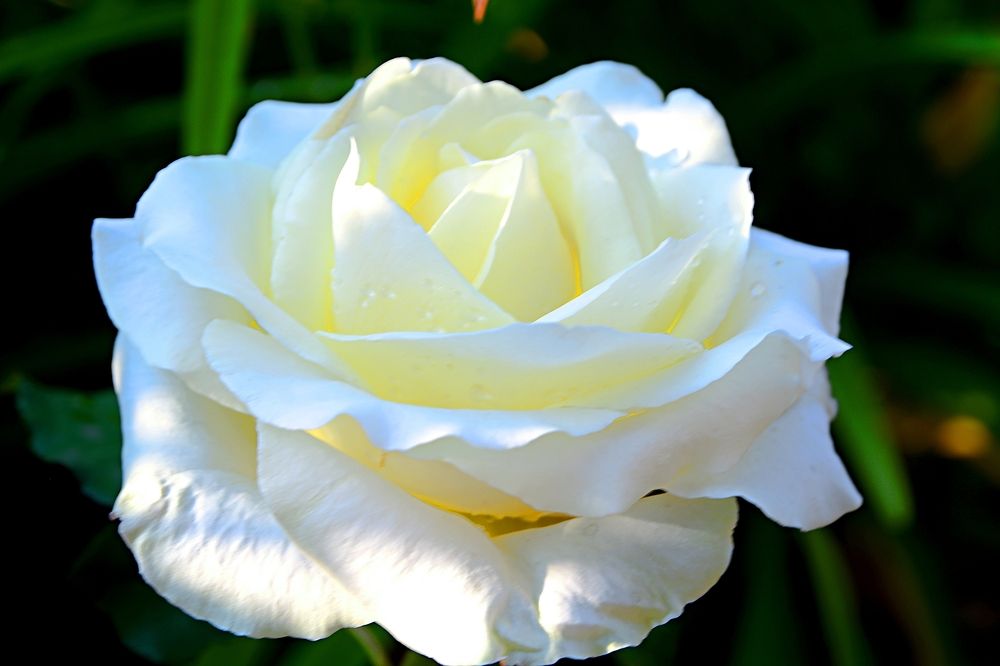 Photograph by Алексей Епишин