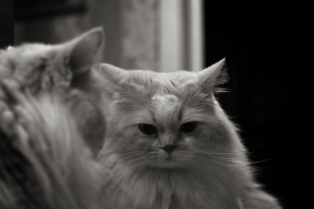 Photograph by Галина Литвинова