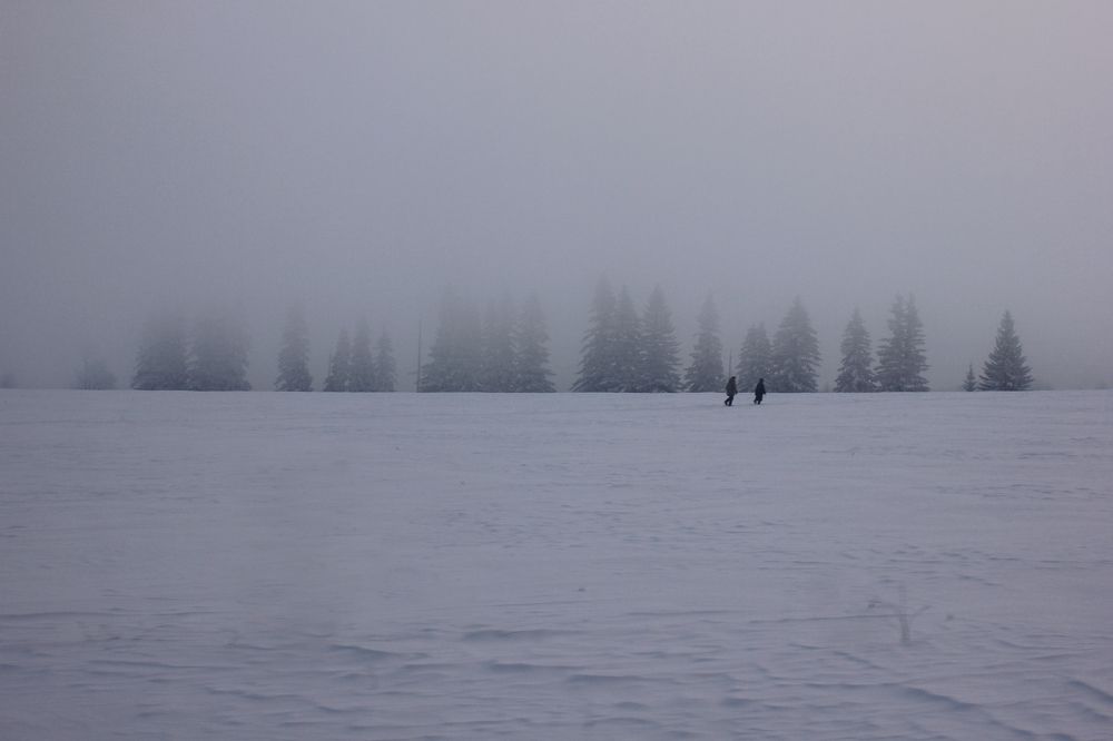 Photograph by ALBERT