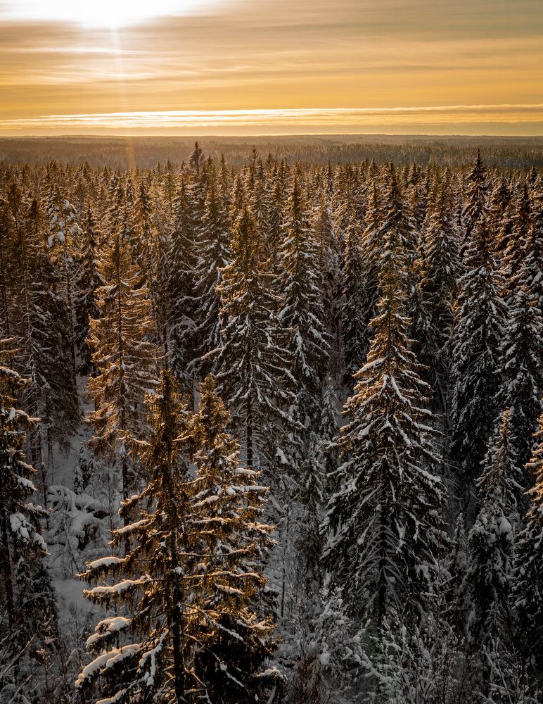 Photograph by Артем Зыкин