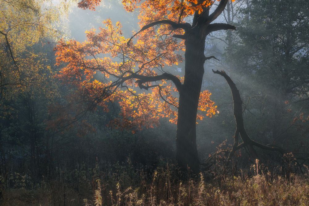 Фотография автора Мартыненко Дмитрий