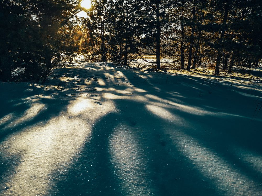 Под вечерним одеялом