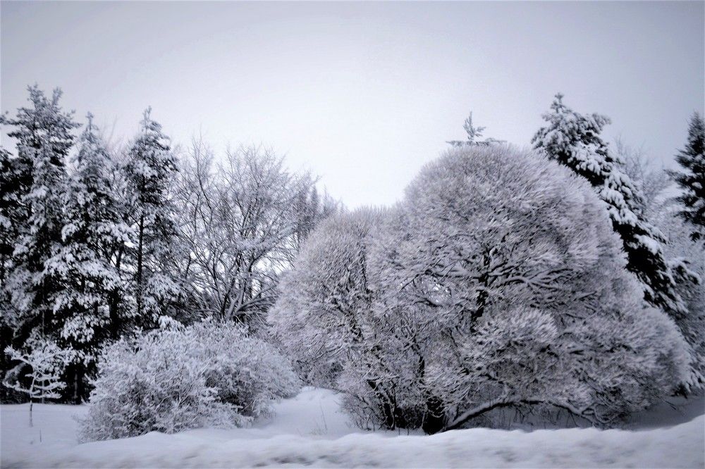 Photograph by Татьяна Красавцева