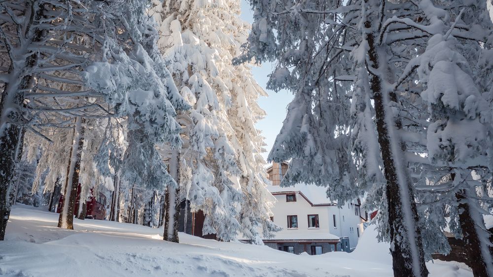 Photograph by Александр Янковский