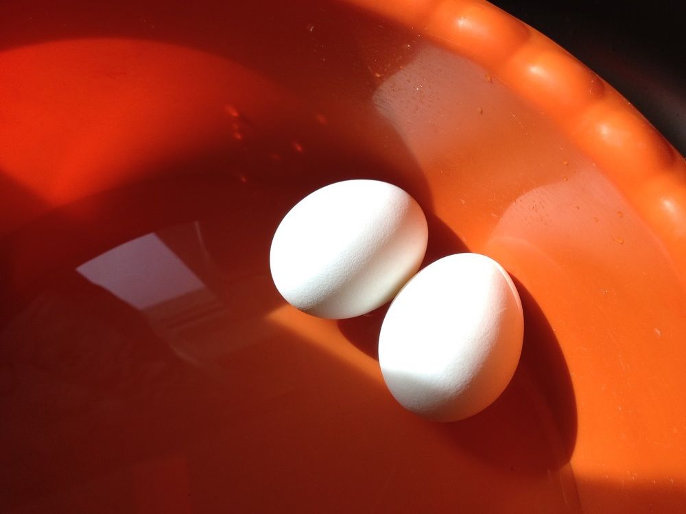 Фотография автора Анастасия