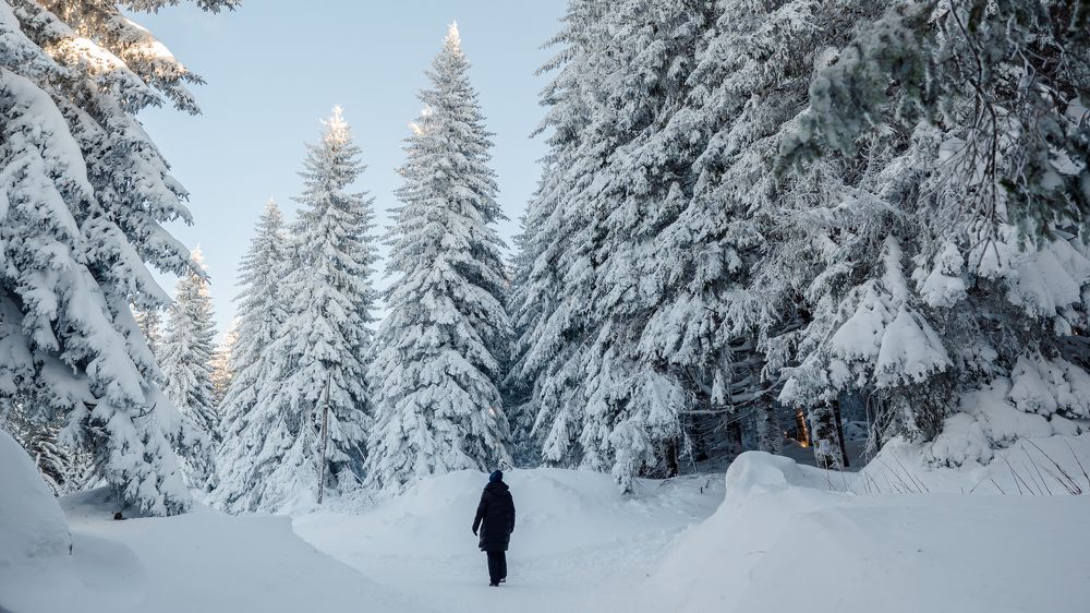 Photograph by Александр Янковский