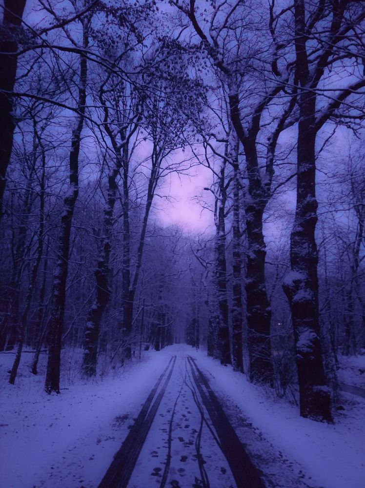 Photograph by Анна Купенко