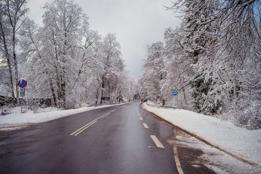 Photograph by Jekaterina Ioutsi