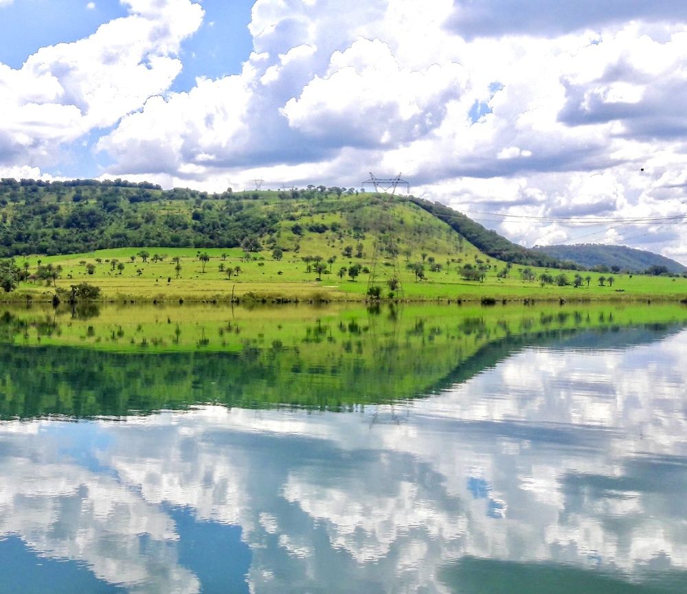 Garrafa verde no algodão .