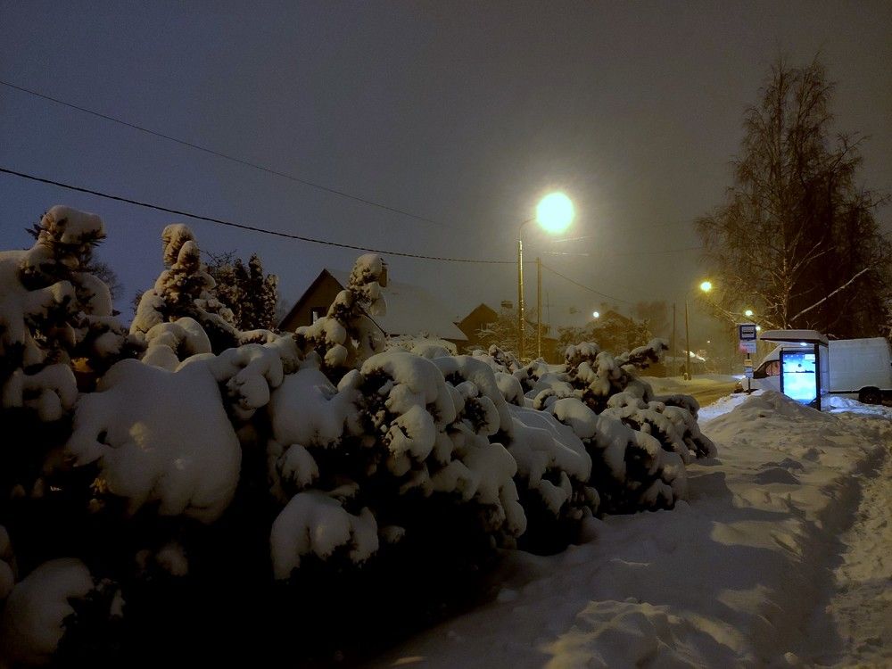 Photograph by Полина Ефимова