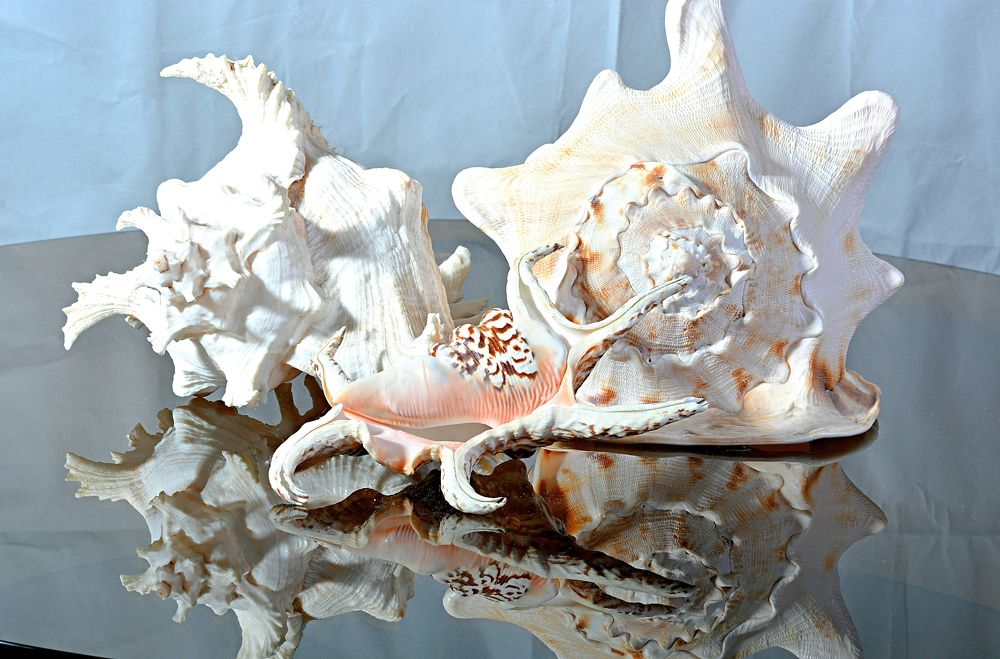 Photograph by Алексей Епишин