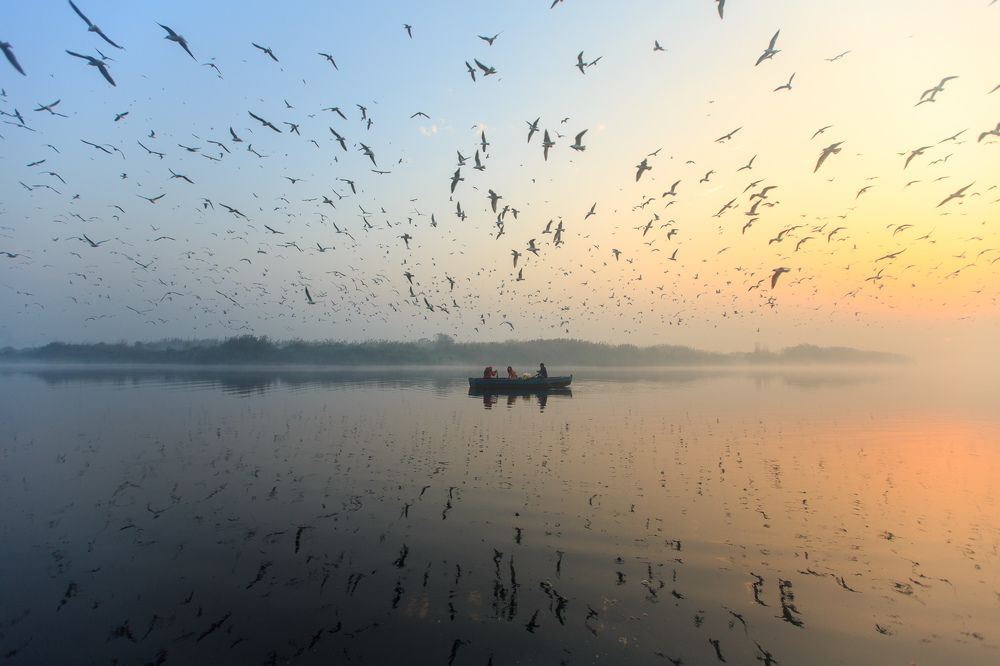 Photograph by Gil Kreslavsky