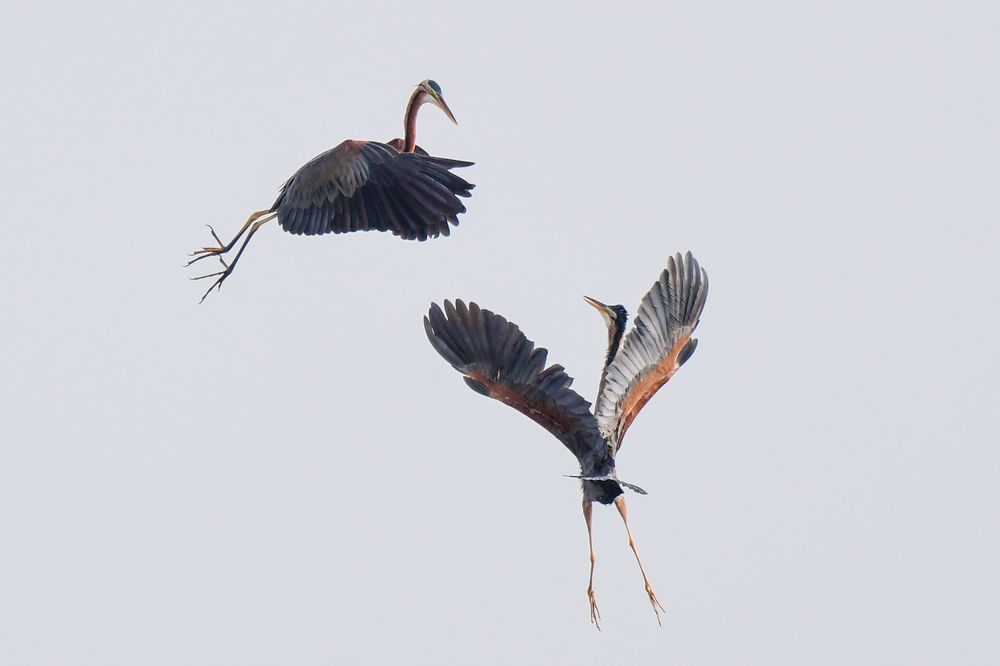 Photograph by Rajiv Basu