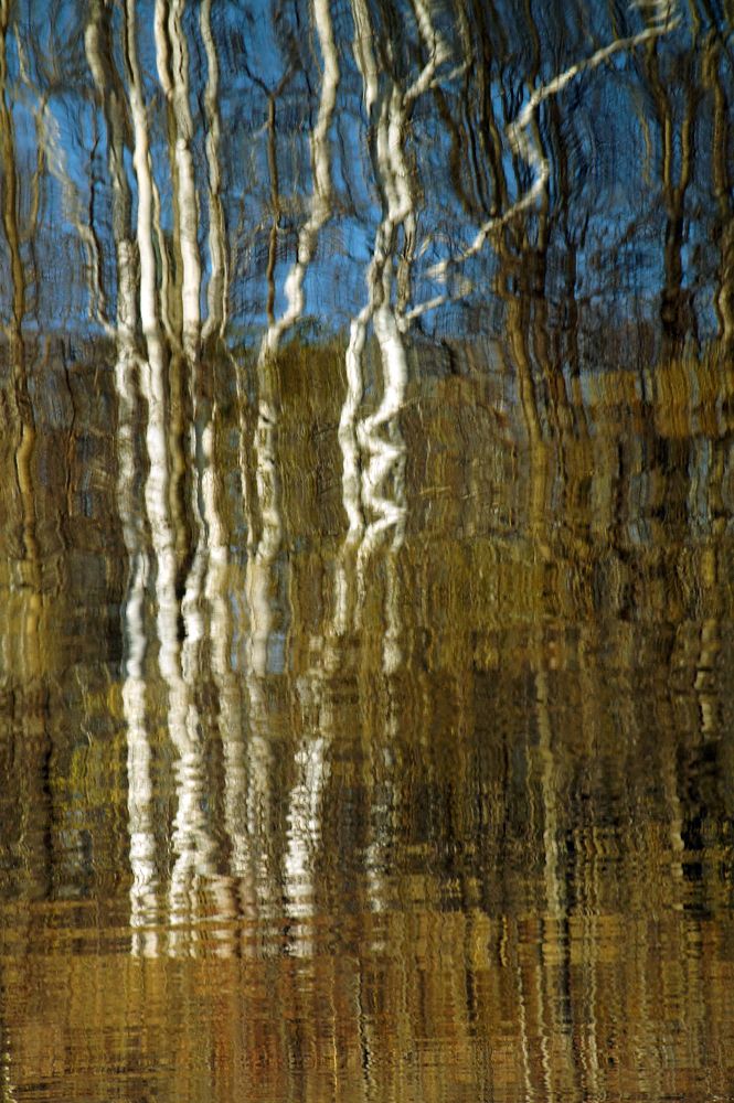 Photograph by Ирина Щеглова