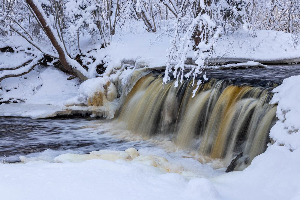 Photograph by JANIS BIJA