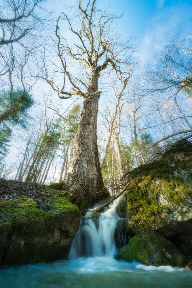 Photograph by Александр Орнатский