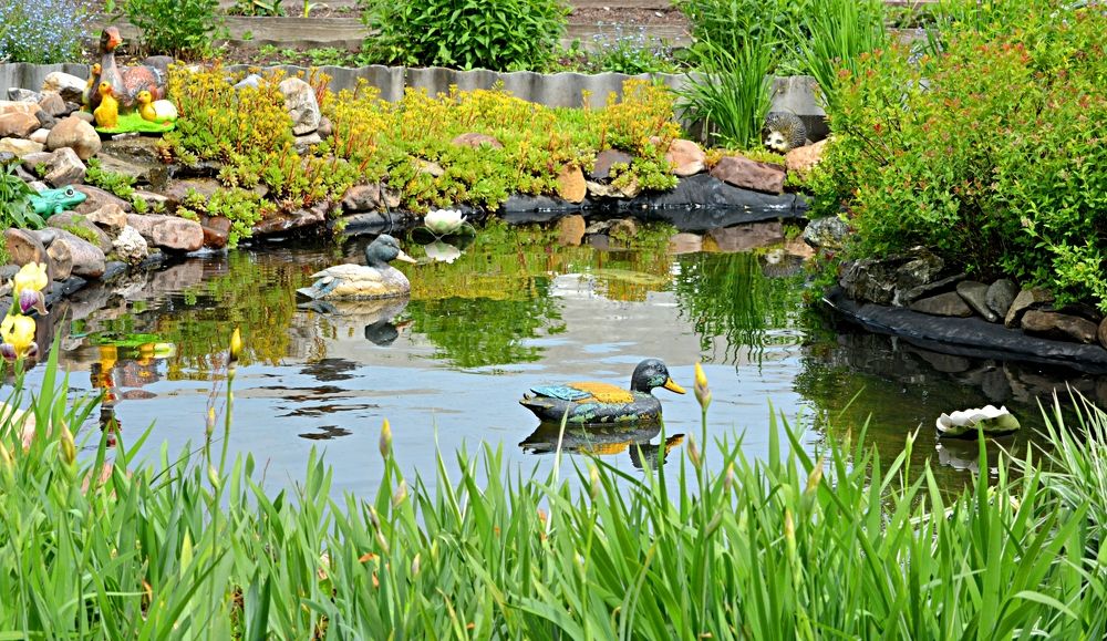 Photograph by Алексей Епишин