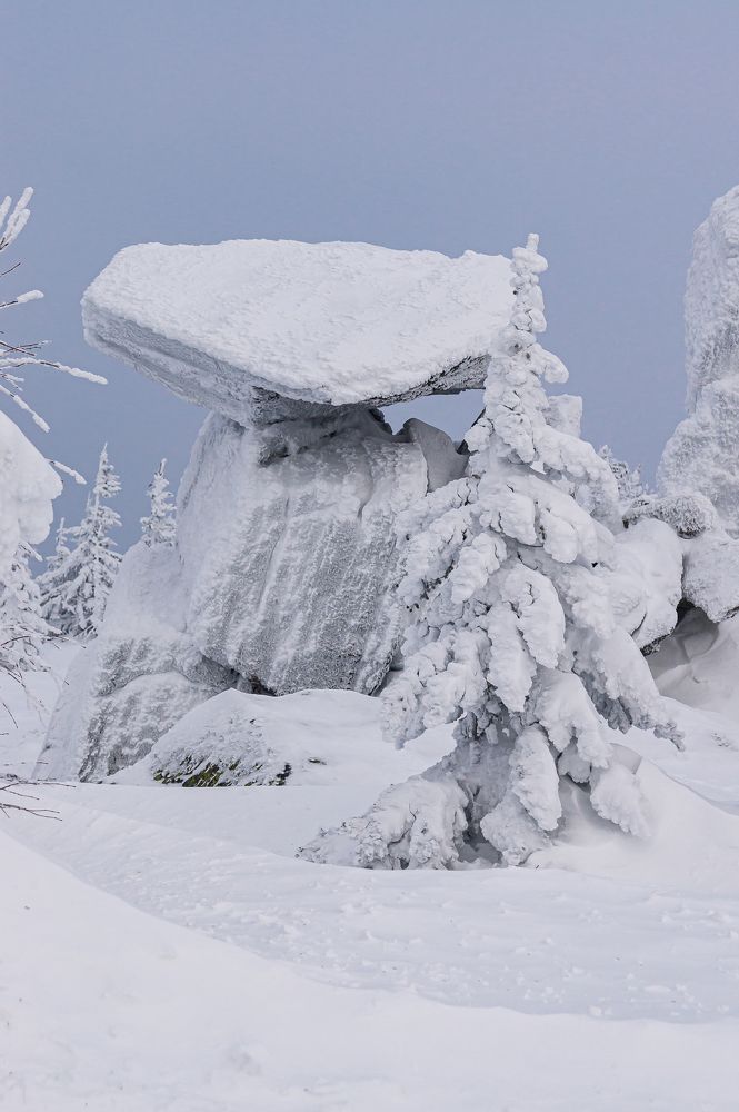 Шапка Ильича