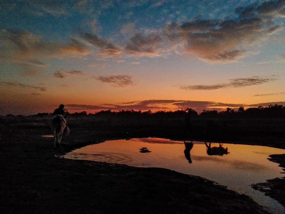 In the land of light and darkness