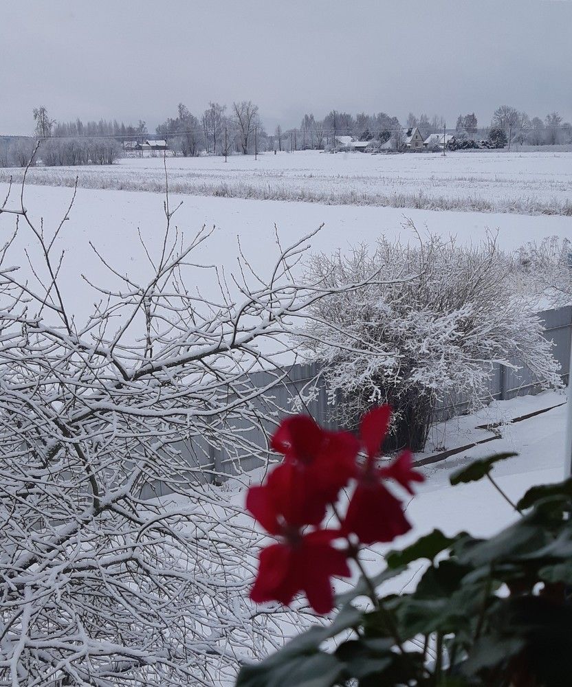 Зимняя картинка в деревне