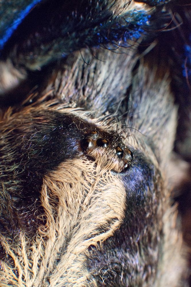 Photograph by Сумченко Ирина