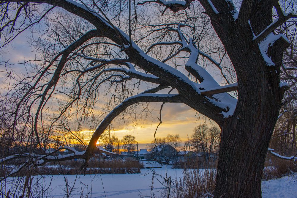 СУРОВЫЙ ЯНВАРЬ