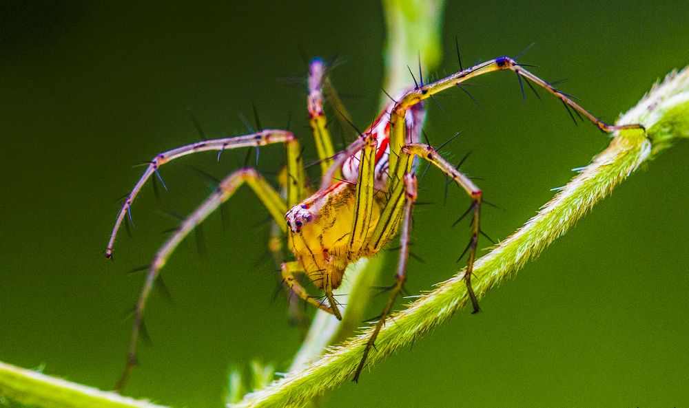 Photograph by Anupam More