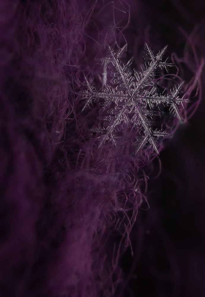 Хрупкая красота