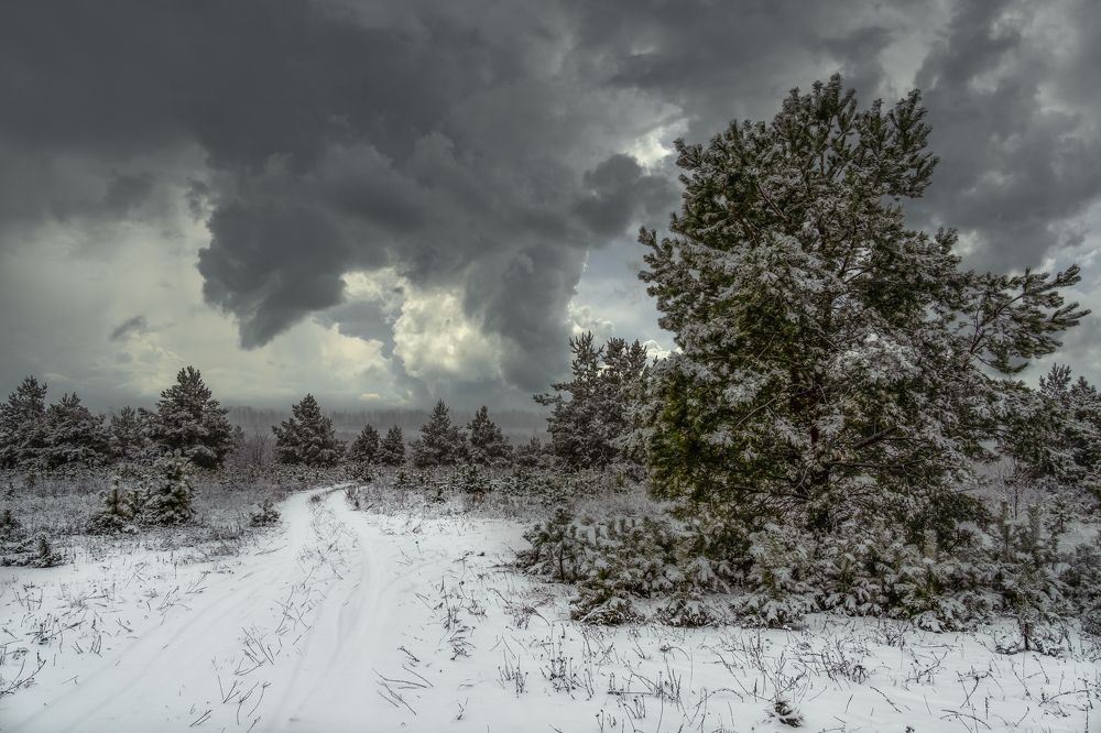 Хмурое утро