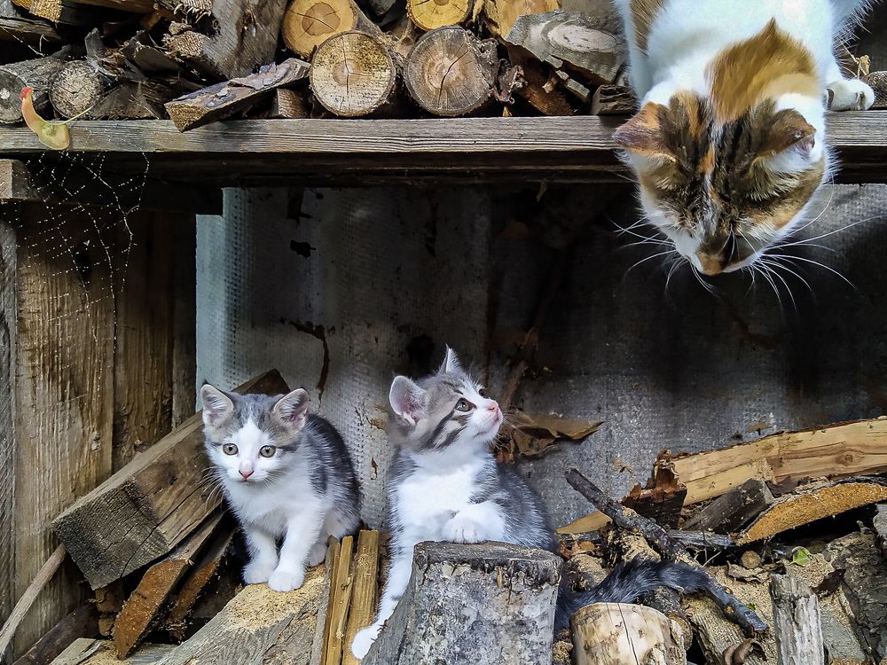 Photograph by Анатолий Мигов