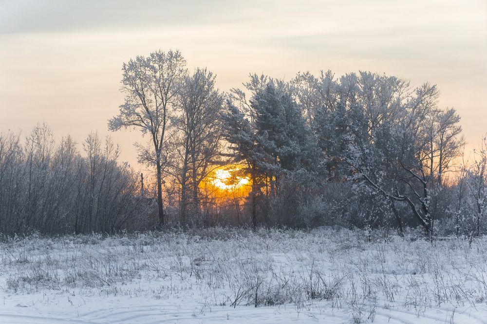 Photograph by Дмитрий Иванович