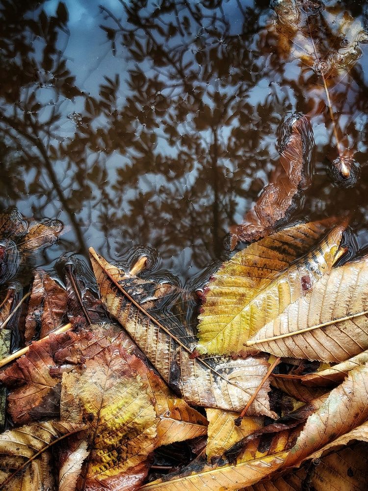 Фотография автора Ольга Игуменова