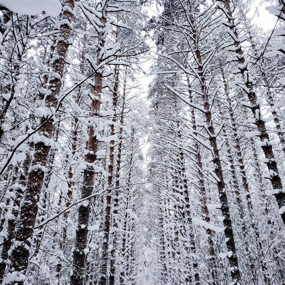 Photograph by Наталья Светлова