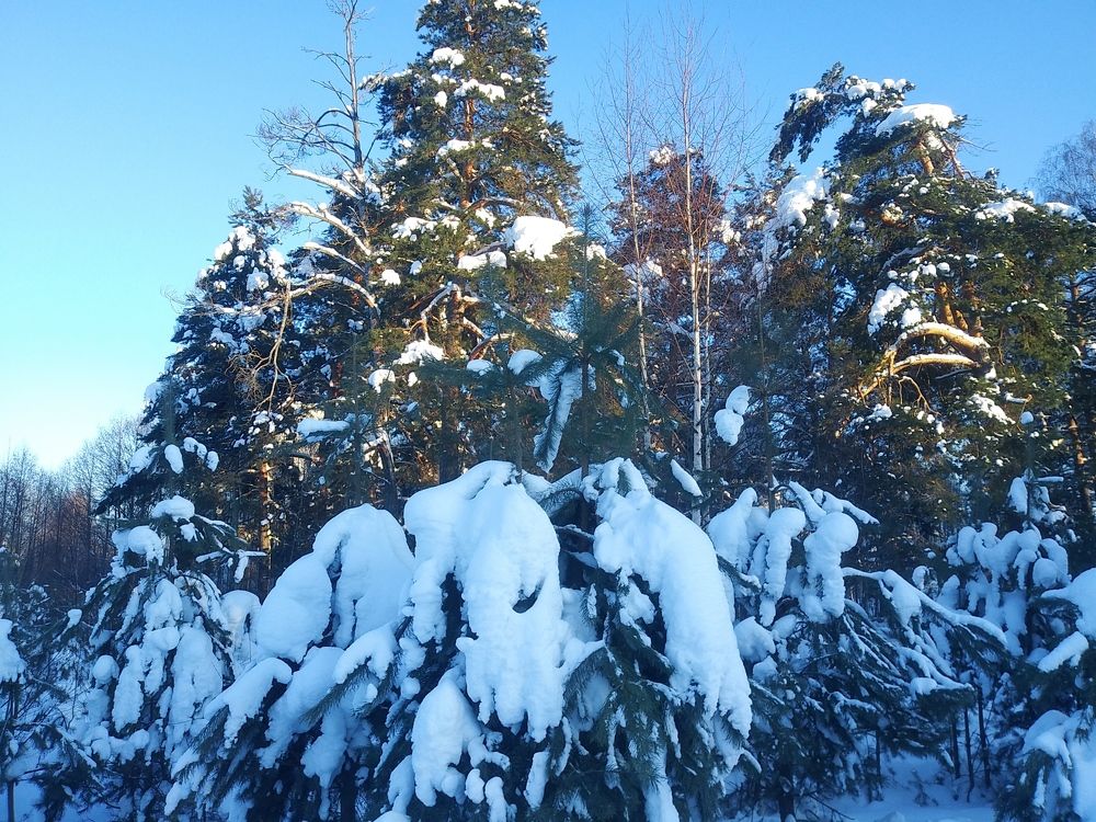 Photograph by Инна Голубева