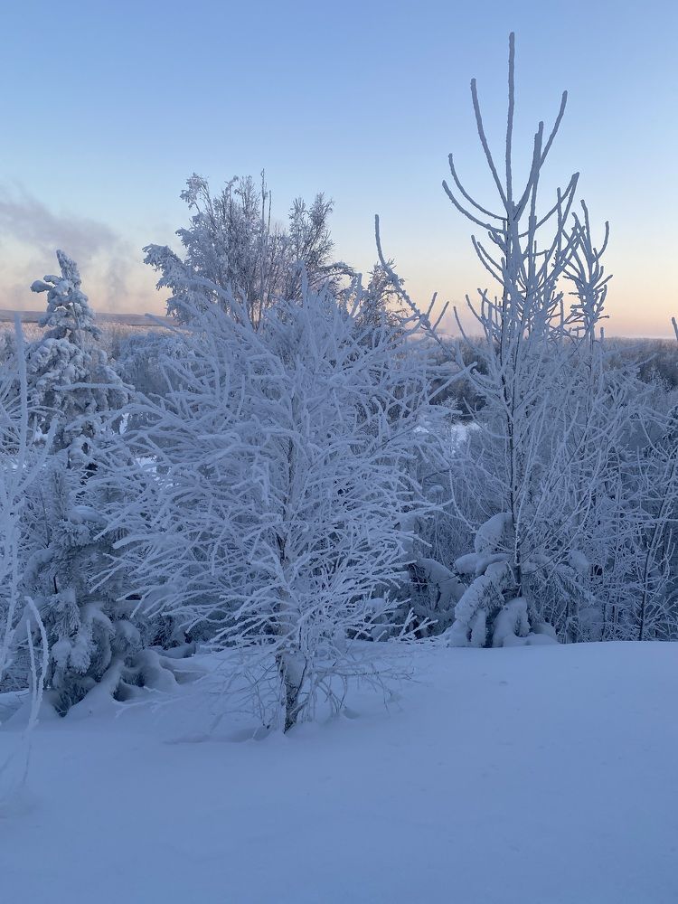 Photograph by Наталья