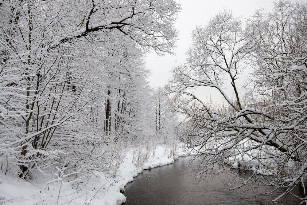 Photograph by Олег Пученков