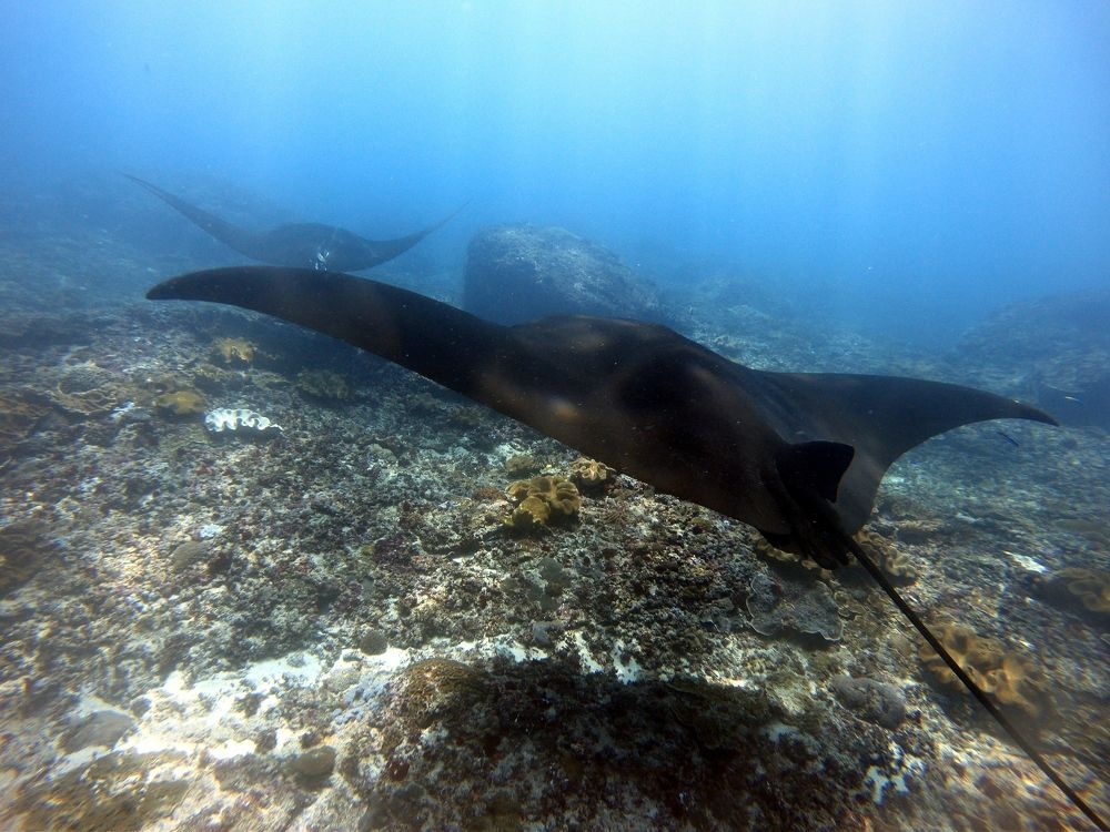 Photo #6980022